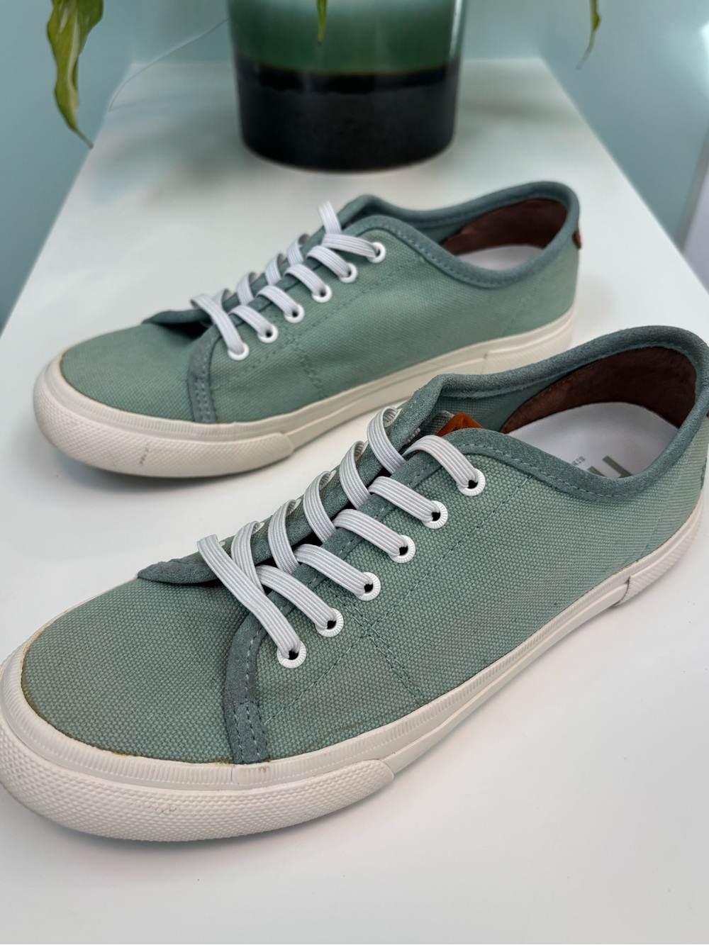 FRYE Women’s Maya Canvas Low-Top Sneakers in Mint | Size 7.5
